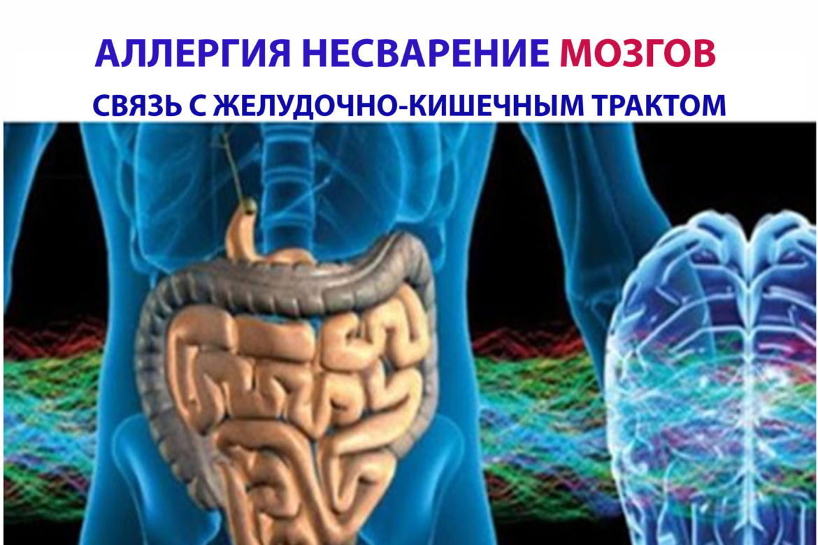 Аллергия - несварение мозгов