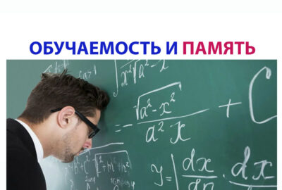 Обучаемость и память
